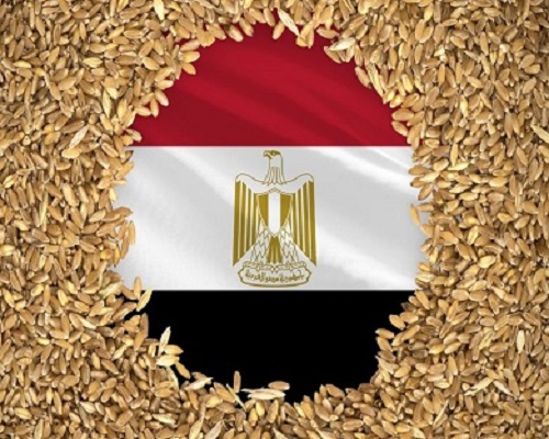 Egypt wheat