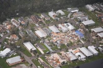 Milton damage
