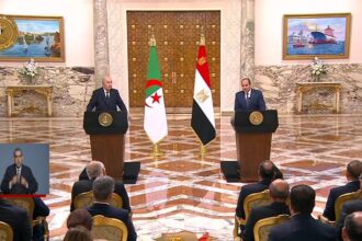 SIsi, Tebboune