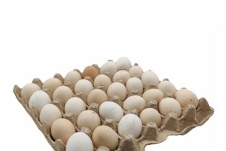 Eggs, Egypt