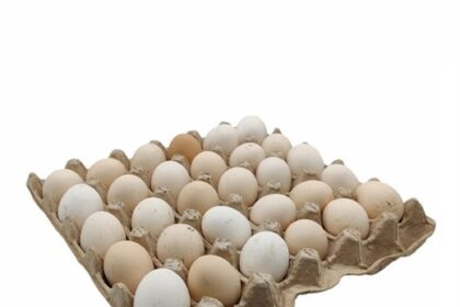 Eggs, Egypt