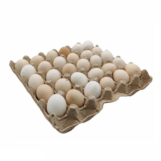 Eggs, Egypt