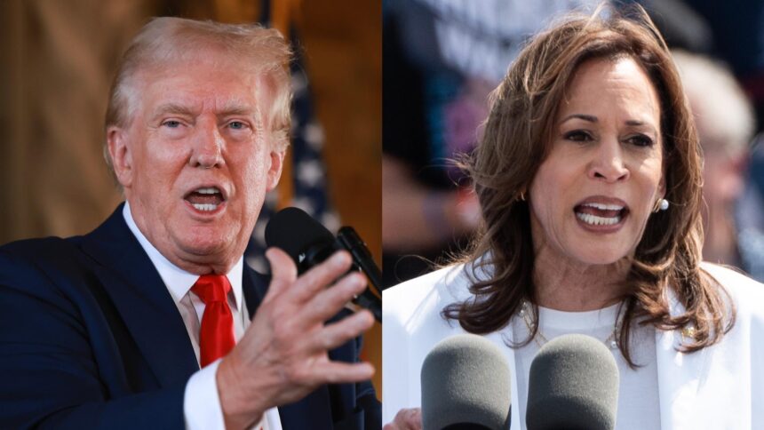 Trump and Harris campaign