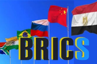 Egypt BRICS Flags
