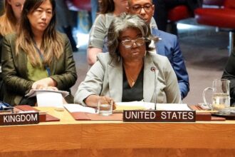 US UNSC