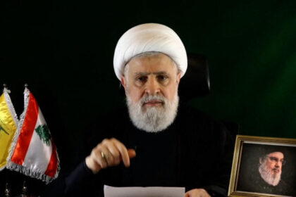Naeim Qassem, Hezbollah