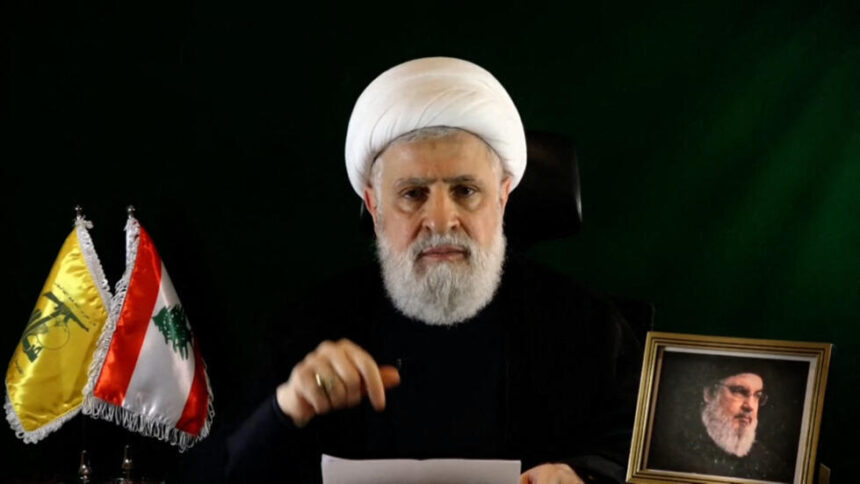 Naeim Qassem, Hezbollah