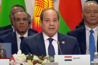 Sisi, Speech BRICS