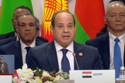 Sisi, Speech BRICS