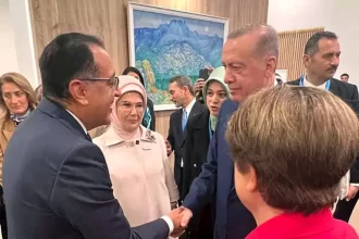 Madbouly meets Erdogan during COP29