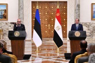 Sisi and Estonian President