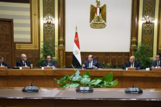 Sisi meets with international corporations