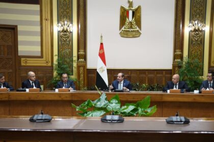 Sisi meets with international corporations