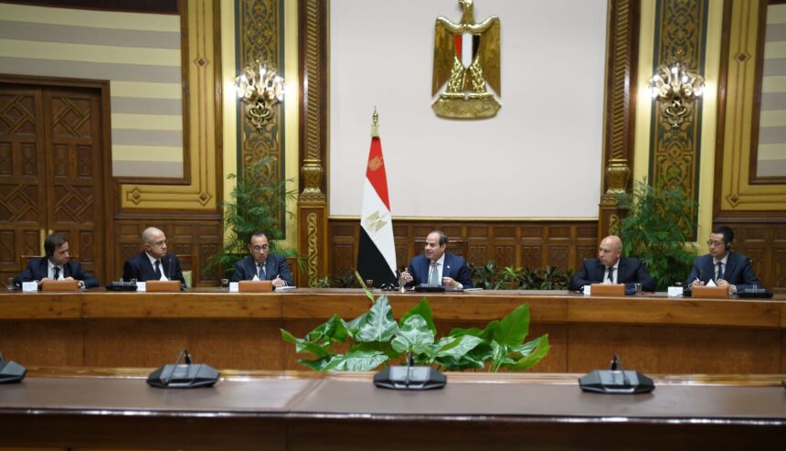 Sisi meets with international corporations