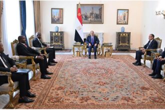 President Sisi and South African Minister