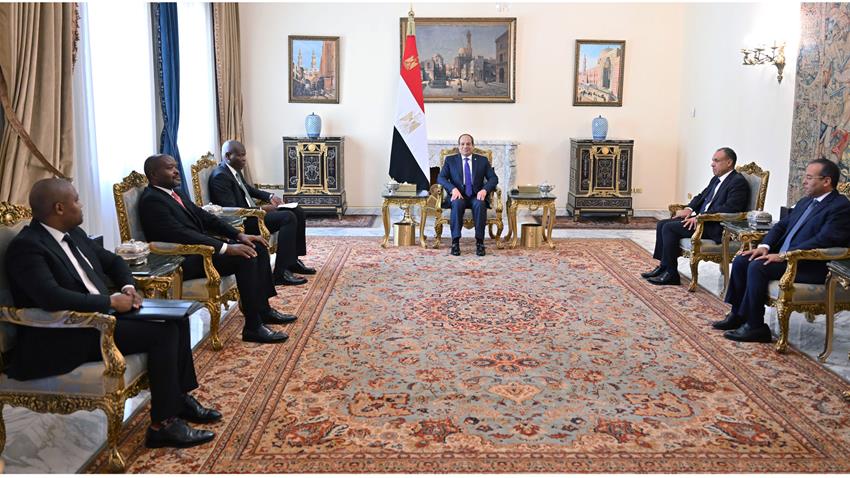 President Sisi and South African Minister