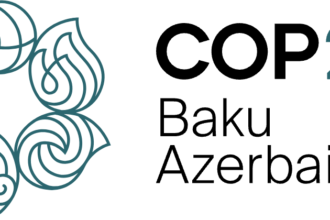 COP29