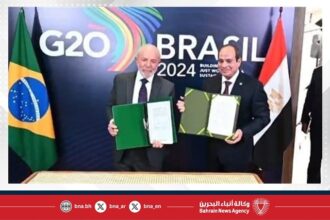 President Sisi and President Lula da Silva