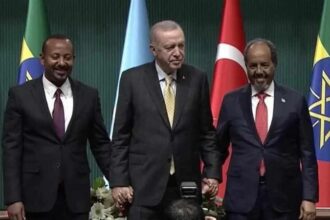 Erdogan, Abyi, Muhmoud