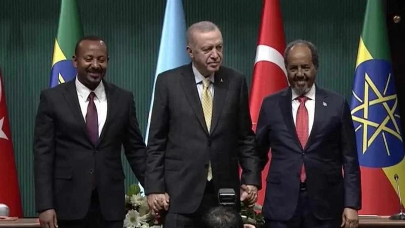 Erdogan, Abyi, Muhmoud
