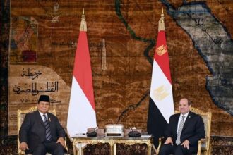 President Sisi and President of Indonesia
