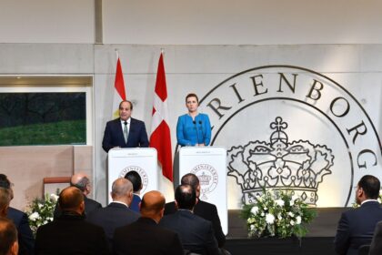 President Sisi and Prime Minister of Denmark