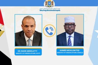 Egyptian and Somali FMs