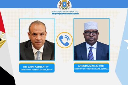 Egyptian and Somali FMs