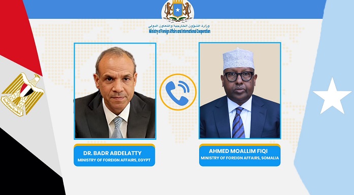 Egyptian and Somali FMs