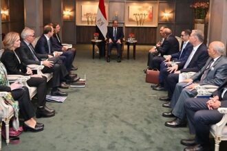 President Sisi with Norwegian CEOs