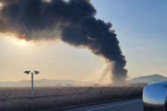 Plane crashes in South Korea