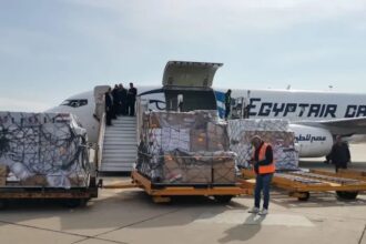 Egypt sends 15 tons of relief aid, medicine and food to Syria