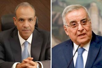 Egyptian and Lebanese FM