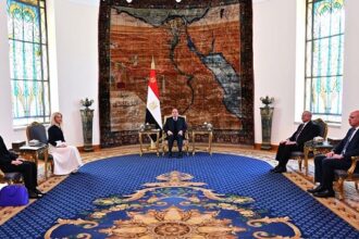 President Sisi and Mrs. Annita Demetriou