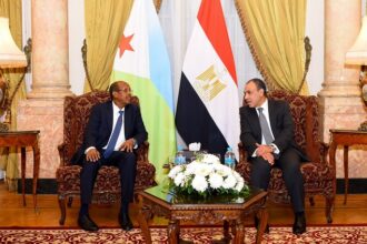 Egypt and Djibouti FMs