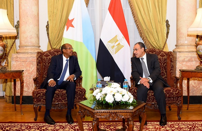 Egypt and Djibouti FMs