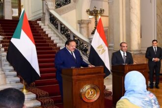 Egypt and Sudan FMs