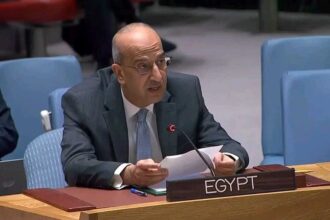 Egyptian UN Ambassador