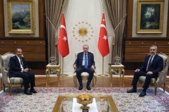 Egyptian FM visits Turkey