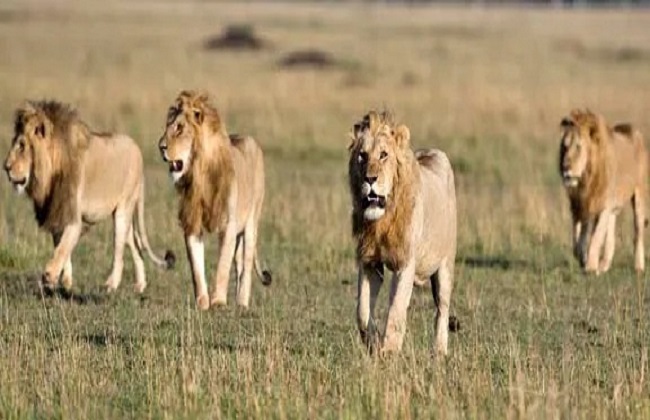 Puntland