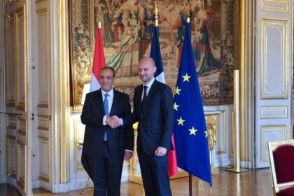 Egyptian and French FMs