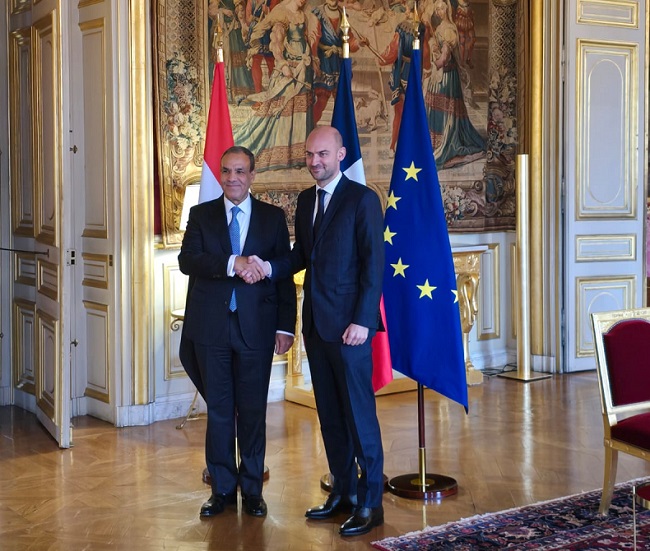 Egyptian and French FMs