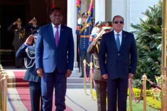 President Sisi received President Hakainde Hichilema
