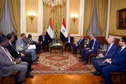 Egypt & Sudan FM, Egyptian Irrigation Minister