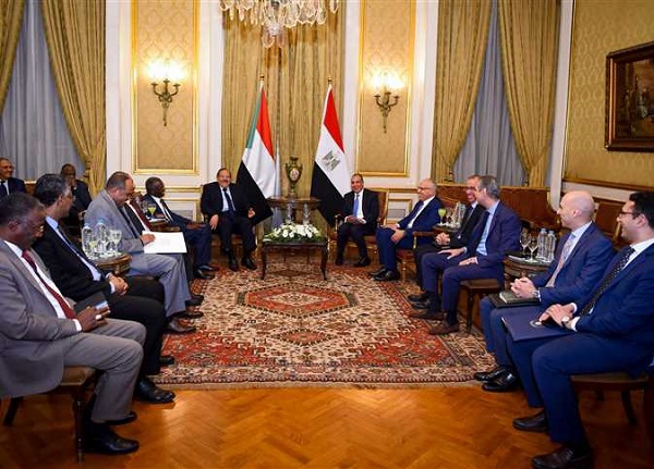 Egypt & Sudan FM, Egyptian Irrigation Minister