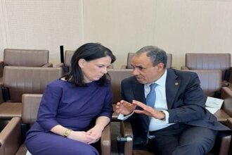 Egyptian and German FMs