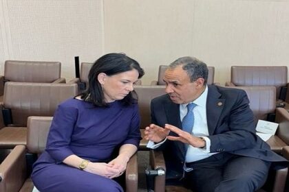 Egyptian and German FMs