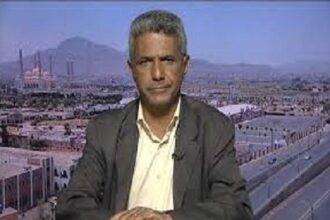 Anis Al Shibani
