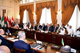 Egypt Ministerial Gaza meeting
