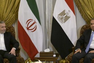 Egypt and Iran FMs